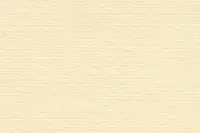 Bugrabutten 103 300 gelblich