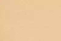 Bugrabutten 103 302 altgold