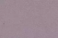 Bugrabutten 103 321 flieder